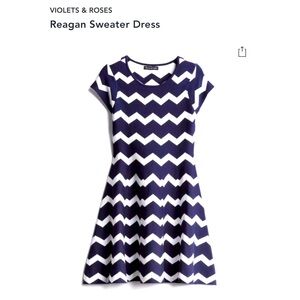 Violet & Roses Reagan Sweater Dress from Stitchfix Fix
